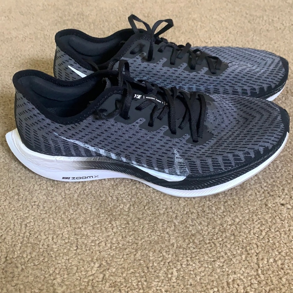Nike Pegasus turbo 2